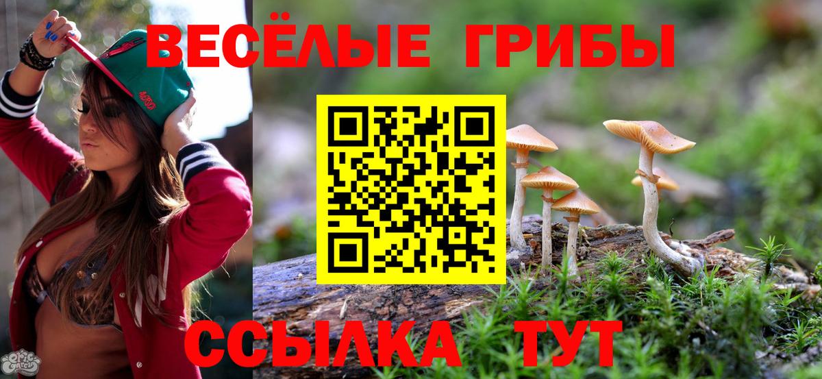 Кудымкар  Псилоцибиновые грибы мицелий  Вход с VPN 