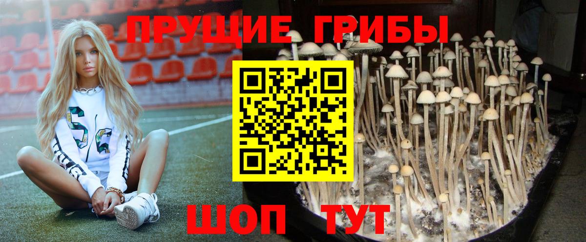 ГАШ Кудымкар